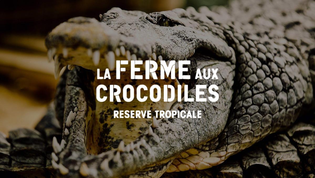 la ferme aux crocodiles / #identité #siteweb #marque